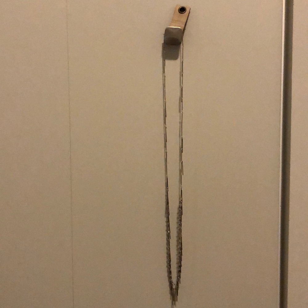 Anthropologie silver long necklace